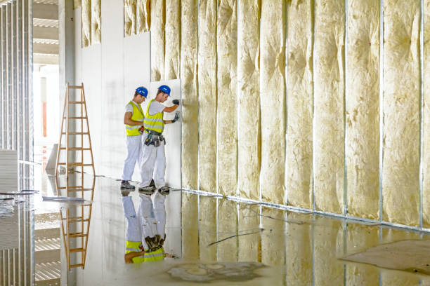 Best Spray Foam Insulation in Castle Rock, WA